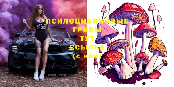 ALPHA PVP Волосово