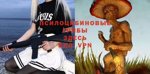 2c-b Кохма